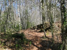 photo coins arrondis