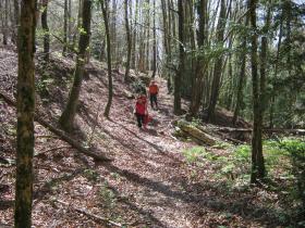 photo coins arrondis