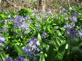 photo coins arrondis