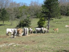 photo coins arrondis