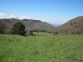 photo coins arrondis