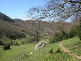 photo coins arrondis