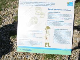 photo coins arrondis