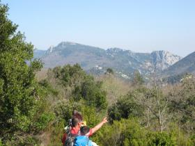 photo coins arrondis