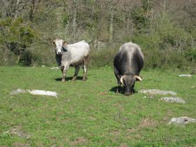 photo coins arrondis