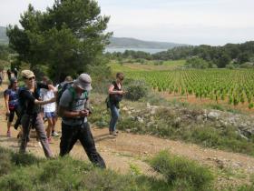 photo coins arrondis