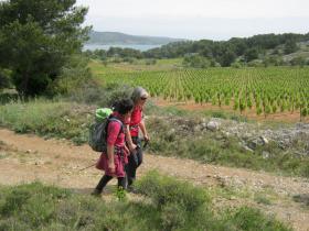 photo coins arrondis