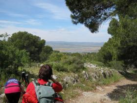 photo coins arrondis