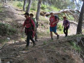 photo coins arrondis