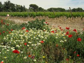 photo coins arrondis