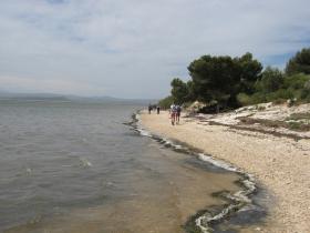 photo coins arrondis