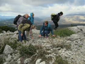 photo coins arrondis