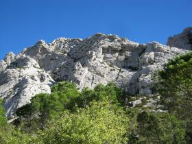 photo coins arrondis