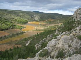 photo coins arrondis