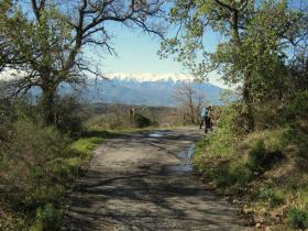 photo coins arrondis