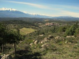 photo coins arrondis