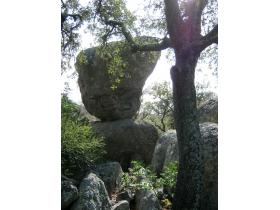 photo coins arrondis