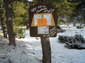 photo coins arrondis