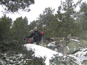 photo coins arrondis