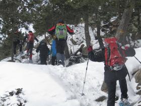 photo coins arrondis