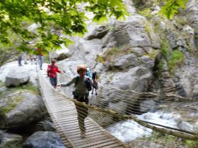 photo coins arrondis