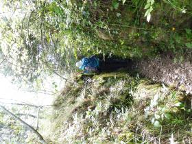 photo coins arrondis