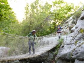 photo coins arrondis