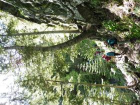 photo coins arrondis