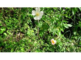 photo coins arrondis