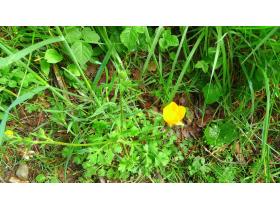 photo coins arrondis