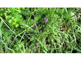 photo coins arrondis