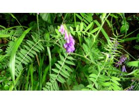 photo coins arrondis