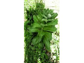 photo coins arrondis