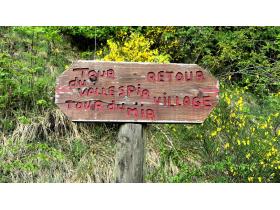 photo coins arrondis