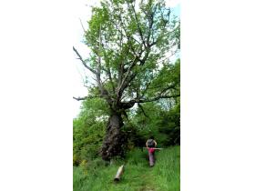 photo coins arrondis