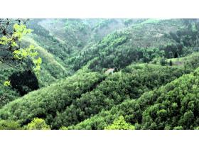 photo coins arrondis