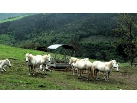 photo coins arrondis