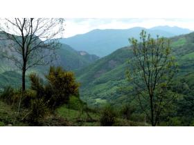 photo coins arrondis