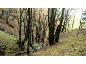 photo coins arrondis