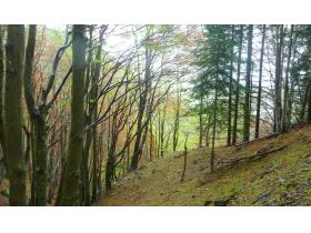 photo coins arrondis