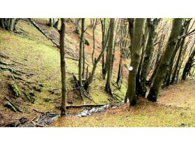 photo coins arrondis