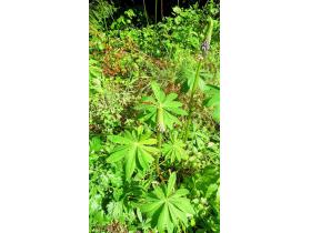 photo coins arrondis