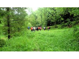 photo coins arrondis