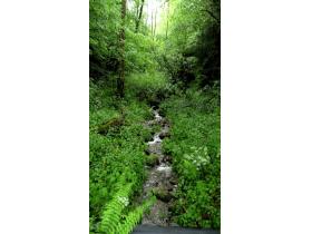 photo coins arrondis