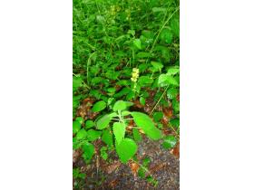 photo coins arrondis