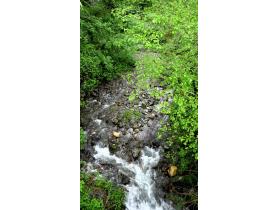 photo coins arrondis