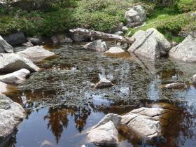 photo coins arrondis