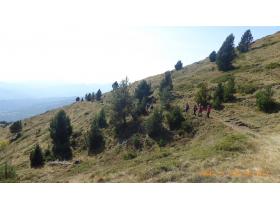 photo coins arrondis