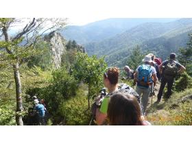 photo coins arrondis