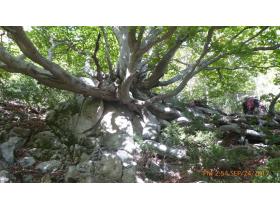 photo coins arrondis